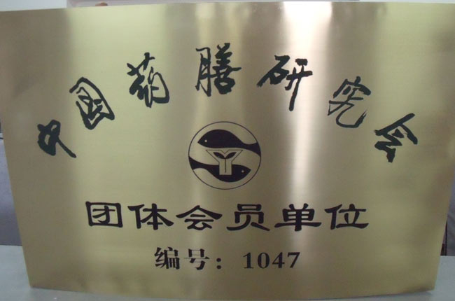 中国药膳研究会